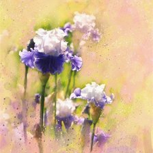 Схема вышивки «№166919»