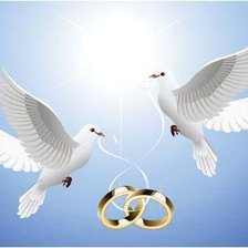 Схема вышивки «Свадебные голуби»