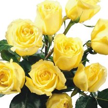 Схема вышивки «Букет жёлтых роз»