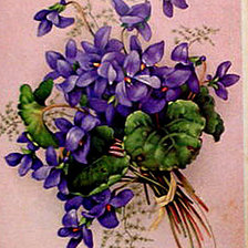 Схема вышивки «№166942»