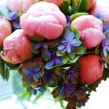 Схема вышивки «Пионы и незабудки»