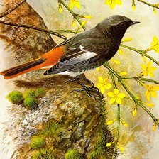 Схема вышивки «№166997»