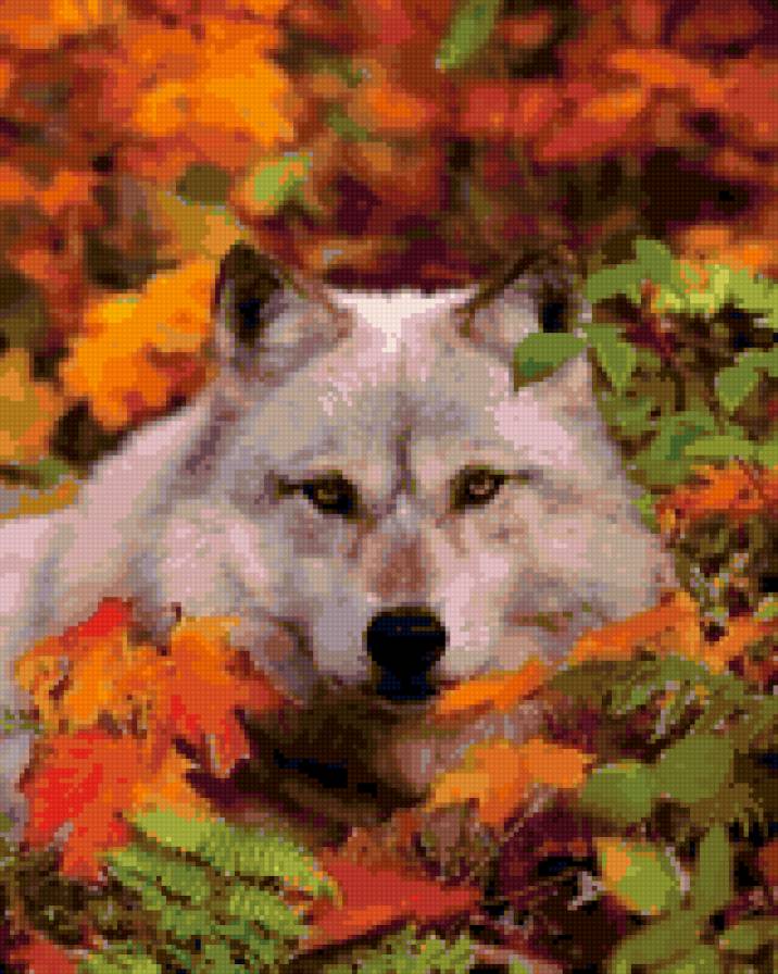 волчица - природа волки животные - предпросмотр