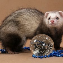 Схема вышивки «Хорек»