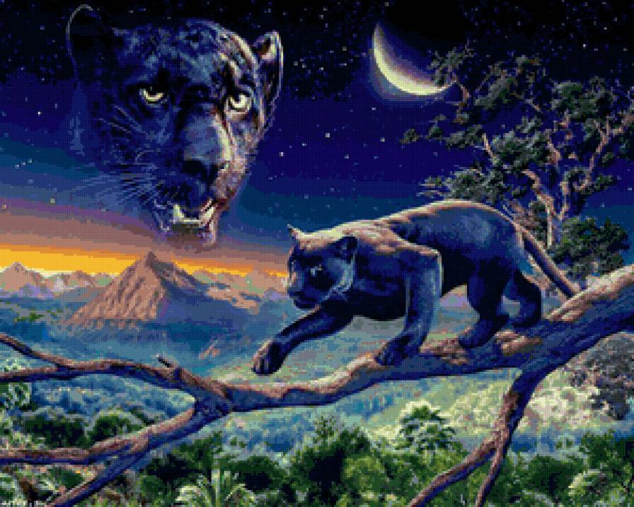 пантера - пантера - предпросмотр