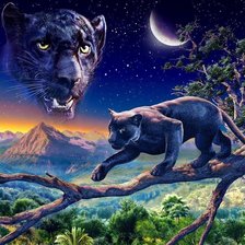 Схема вышивки «пантера»