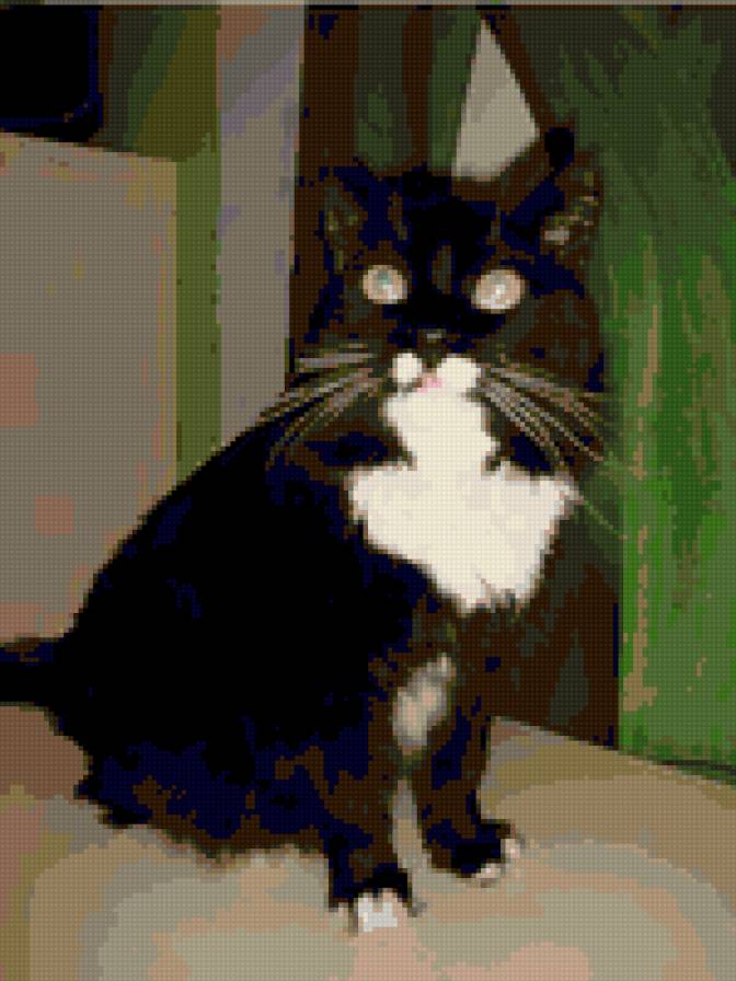 77777 - предпросмотр