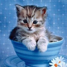 Схема вышивки «котенок»