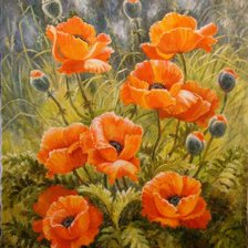 Схема вышивки «маки»