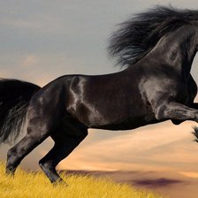 Схема вышивки «Серия "Лошади" Вороной»