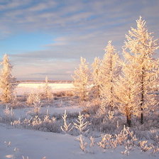Схема вышивки «зима»