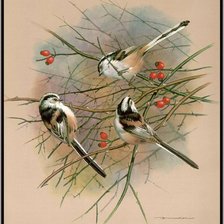 Схема вышивки «на ветках шиповника»