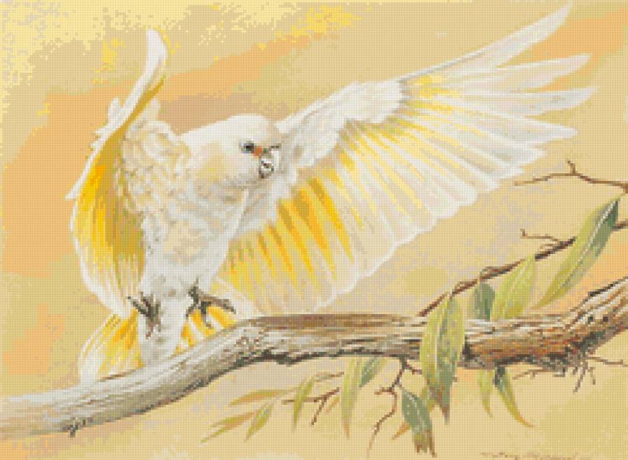 попугай - птицы - предпросмотр