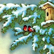 Схема вышивки «№167423»