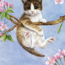 Забавный котенок