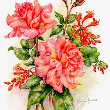 Схема вышивки «розы»