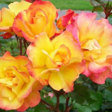 Схема вышивки «№167790»