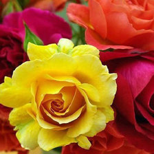 Схема вышивки «№167793»