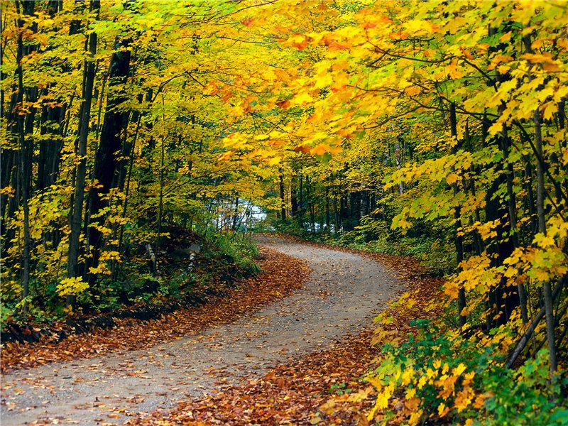 Пейзаж - природа, пейзажи - оригинал