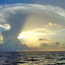 Схема вышивки «№167818»