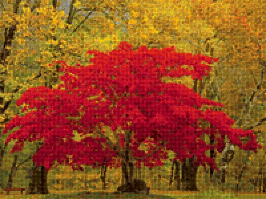 Пейзаж - пейзажи, природа - предпросмотр