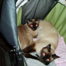 Схема вышивки «муся люся»