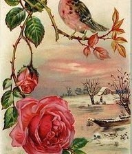 Схема вышивки «роза»