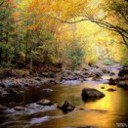 природа - ghbhjlf - оригинал