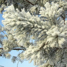 Схема вышивки «Пейзаж»