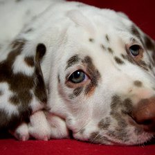 Схема вышивки «ТОСКА»