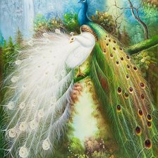 Схема вышивки «павлины»