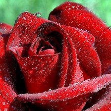 Схема вышивки «Цветок»