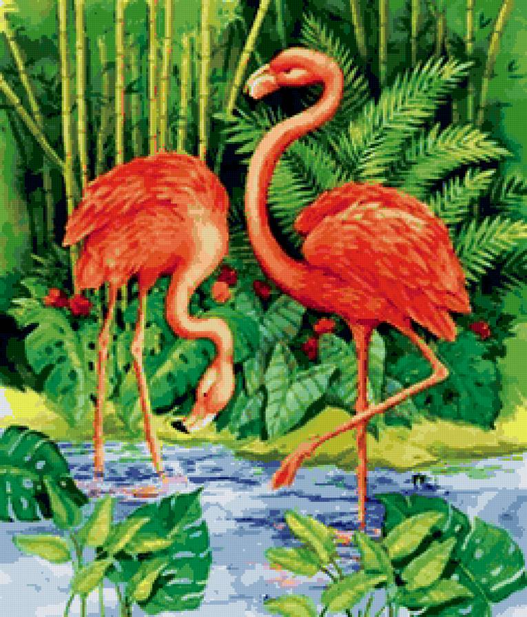 фламинго - предпросмотр