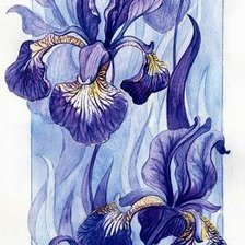 Схема вышивки «ирисы»