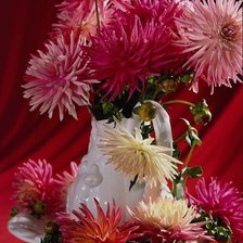 Схема вышивки «Букет астр»