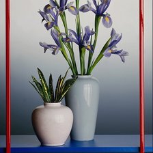 Схема вышивки «Ирисы в рамке»