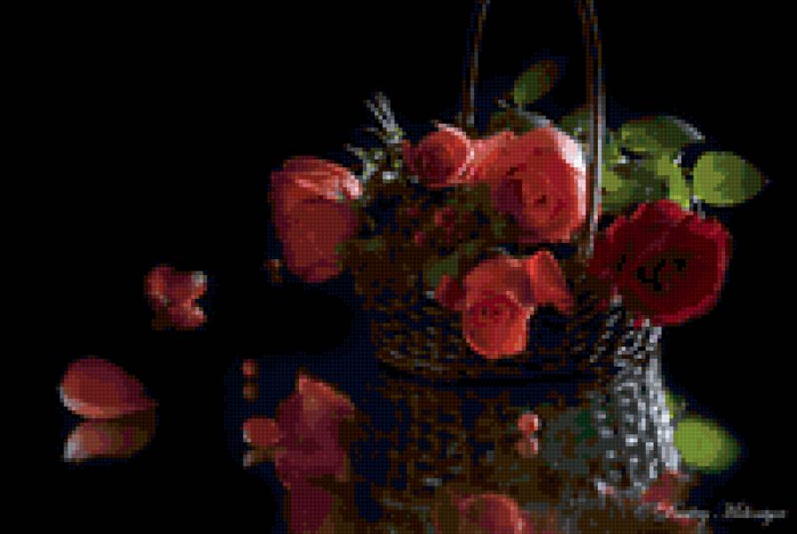 Розы на чёрном - цветы, на черном, розы - предпросмотр