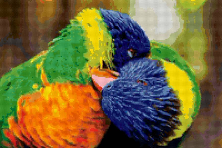 Попугайчики - птицы, любовь - предпросмотр