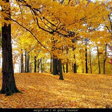 Схема вышивки «Пейзаж»