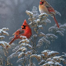 Схема вышивки «Зимние птицы»