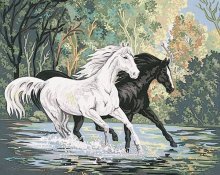 Брызги воды