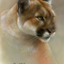 Схема вышивки «Пума»