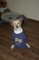 Схема вышивки «Одри»