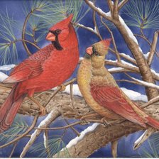 Схема вышивки «Серия "Птицы"»