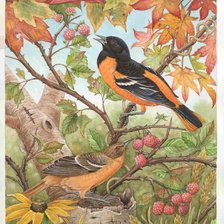 Схема вышивки «Серия "Птицы"»