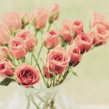 Схема вышивки «розы»