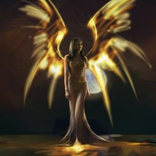 Схема вышивки «огненные крылья»