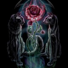 Схема вышивки «кошки»