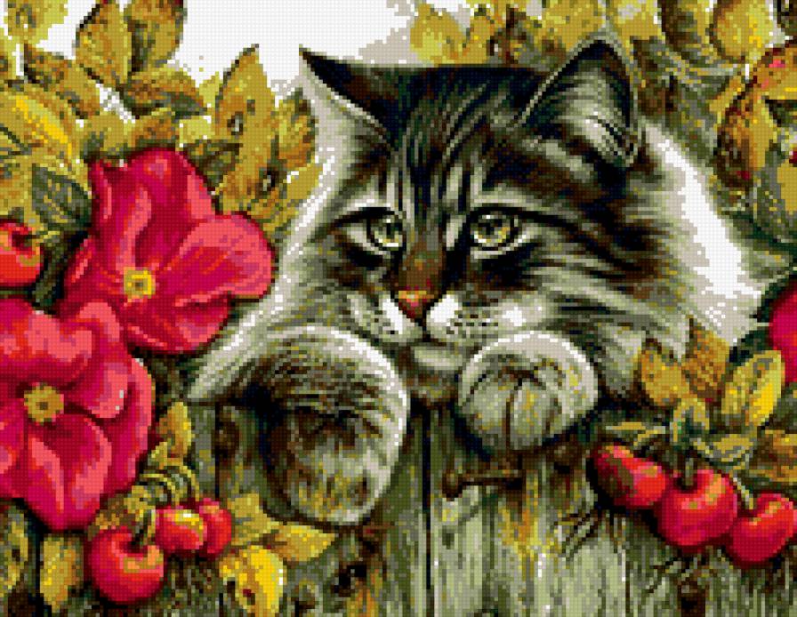 кот в цветах - забор, цветы, осень, кот, животные, листья - предпросмотр