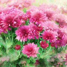 Схема вышивки «№168721»